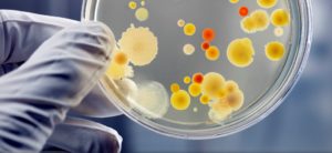 sterilant actril minncare surface disinfection sporicide bacteria hospital pharma life science onboard solutions australia